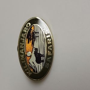 Disney Parks Pin